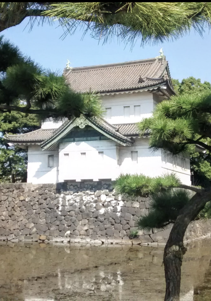 Tokyo castle